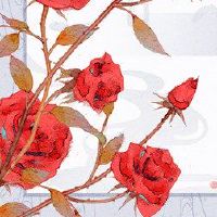 一个不会离婚的三个主要Zod只是一个婚姻