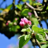 12个星座男士如何测试你的心脏?