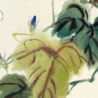 越是心善的人长相就越年轻 心地善良有福报