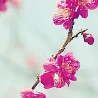 养牛公司名字怎么取 盘点热门企业名大全