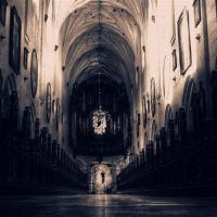 找不到它,这四个大星座是你想要的理想类型。