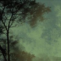 01年属蛇女和92年属猴男婚配 六合配对速配度高