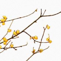 2022年生肖兔4月份事业运势如何 职场上有喜事吗