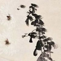 2022年五月生男孩多还是女孩多 本月出生宝宝事业运分析