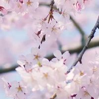 养殖公司起什么名字好 最新版的养殖公司起名