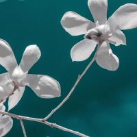 Apage 4月2022年星座