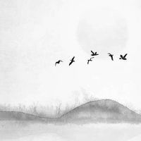 清明节的风俗活动 清明节可以回娘家吗