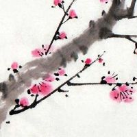 属虎女佩戴什么旺财 宝石项链让属虎女聚财