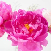 最塔罗益志西财富(4.4-4.10)