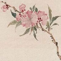 养殖场叫什么名字好 最新版养殖场名大全