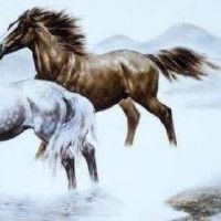 2019年每月的男性生活马月财富,黄道带马2019年野外工作大全