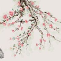 今年的2023年兔子2023岁