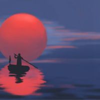 我忙着狗钱,我永远不会被花费。 (照片)