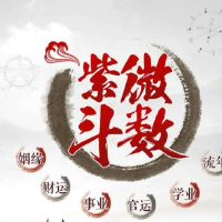 文曲星入命是什么意思?