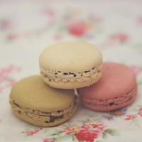 四十岁不会改变黄色的三个尸体,年龄越大,越好!