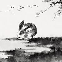 在第75届,兔子的人在兔子的年度很幸运。