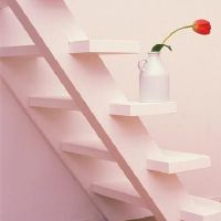 谁是最受欢迎的星座?这是谁?