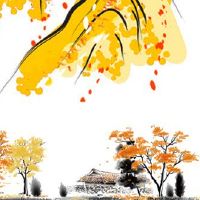 妈妈属虎本命年送什么 送母亲红玛瑙手链有福报