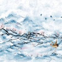 属虎本命年不能戴金吗 虎女戴金项链招财进宝