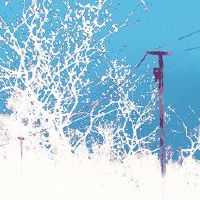 钻孔佩戴哪种手指的不同手指代表内涵