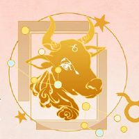 星座,一个星座,表现非常好,有一个良好的业务