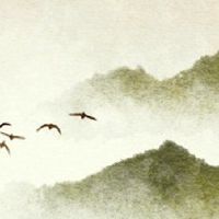 马的外部特征是什么?