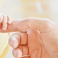 老虎婴儿出生于2022年,令人惊叹的名字