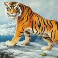 今年1974年,今年(今年1974年)