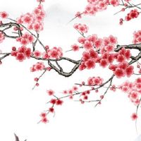 为什么都怕巨蟹座黑化 其黑化的具体表现