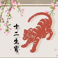 1974年,老虎对2023年好,运气不好,完整的解决方案