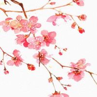 2022年芒种是几月几号几点几分 芒种农历是几月几日