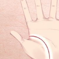 手掌手掌的三行手掌如何找到生命线