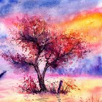 你最喜欢12个星座?