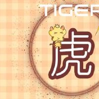 我可以在2022年在老虎年度移动吗?我应该在老虎年度注意什么?