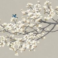 店铺里放什么植物聚财 绿植放店内财位上最适合