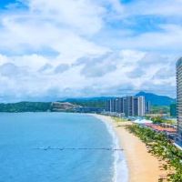 蛇人在2019年幸运的颜色