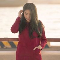 12个仇恨前大队的星座