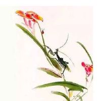 2022年9月7日白露五行看穿衣,今日穿衣幸运色盘点