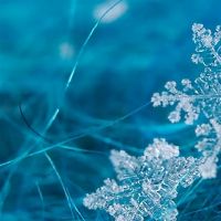 “成千上万的人喜欢的集合”,长寿,即使它出生。