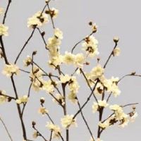 牛场养殖场怎么起名才好 盘点热门牛场起名大全