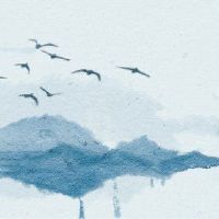 如何选择四种最常见的祖母绿手镯