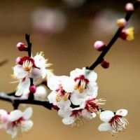 镜子不能乱放有可能会干扰你的婚姻