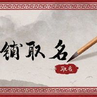 淘宝小新鲜商店潮流缩写的名称