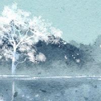 豆子祖母绿是什么?质量是低级玉