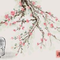 80年属羊一生事业 人人称羡事业运好