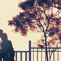 谁在2022年结婚了婚姻宫殿?