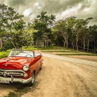 红车的启示是什么?