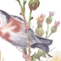 工程劳务公司名称大全 企业取独特个性的名字