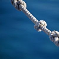 梦见苍蝇是好或只是