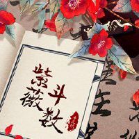 Ziwei Dou数算幸运的月亮,月亮是为财富寻求资金的主要明星